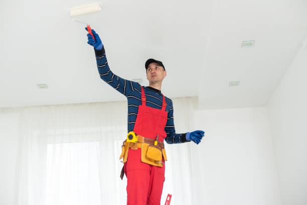 Professional Mold Removal in Lake Riverside, CA