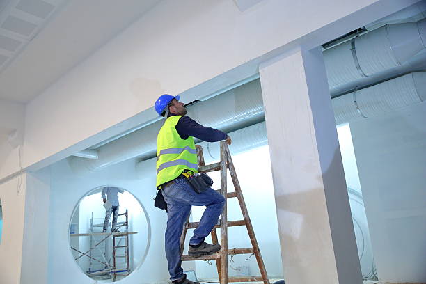 Mold Odor Removal Services in Lake Riverside, CA
